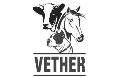 Vether